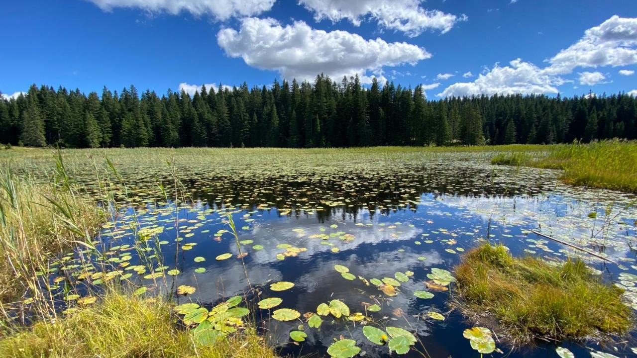 Vista Pitomine Villa Žabljak Buitenkant foto
